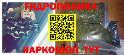 крисы Балаково